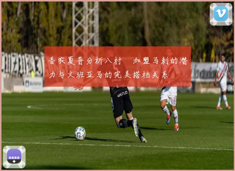 香农夏普分析八村塁加盟马刺的潜力与文班亚马的完美搭档关系